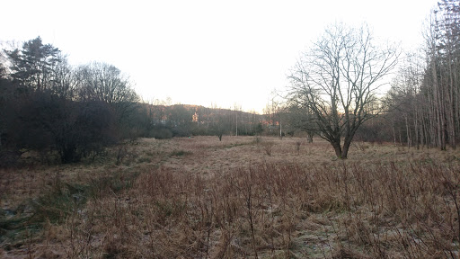 Ekoby Linnarhult - Garden in Gothenburg, Sweden