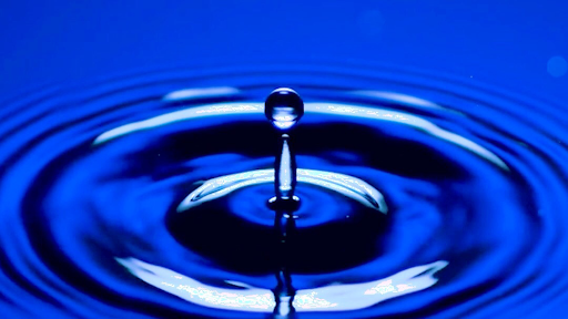 Ekonom Parikmakherskaya