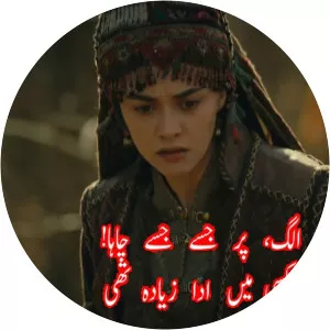 El Bilga Khatun photograph