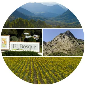 El Bosque