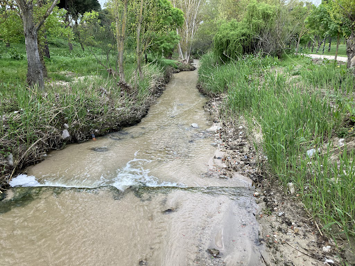 El camino del Arroyo de la Arroyada - Park in Arroyomolinos, Spain