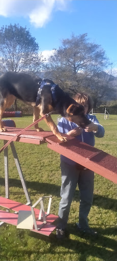 El Clan Del Lobo - Dog trainer in Spain