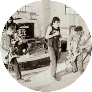 El corazón del sapo