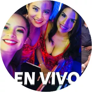 El Encanto de Corazón - Musical artist