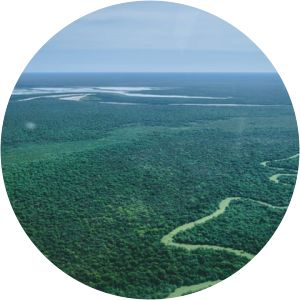 El Impenetrable National Park - 