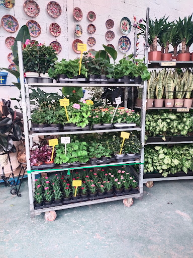 El Jardin De La Ria - Garden center in Aviles, Spain