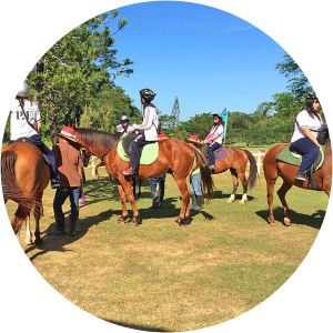 El Kabayo Riding Stable Olongapo City