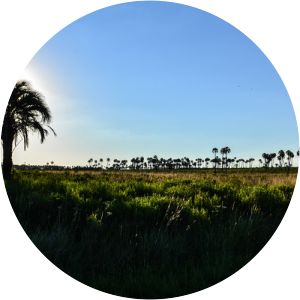 El Palmar National Park - 