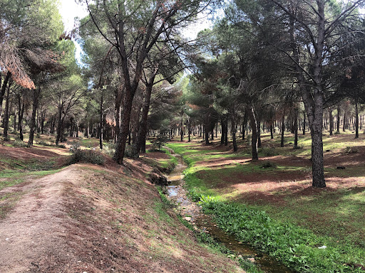 El Pinar de Navalcarnero - Hiking area in Spain