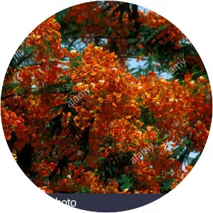 El Progreso Department - 