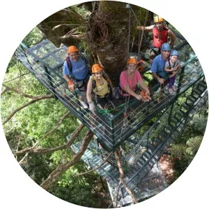 El Santuario Canopy Adventure Tour