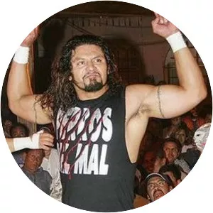 El Terrible - Mexican professional wrestler