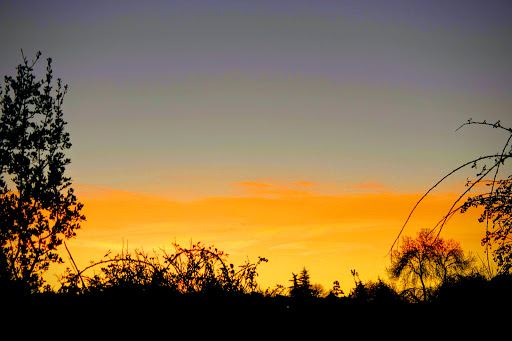El Toril - Park in Galapagar, Spain
