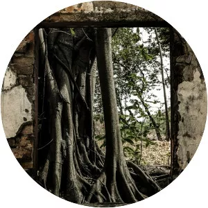 El Valle Sin Sombras (El Valle sin Sombras)