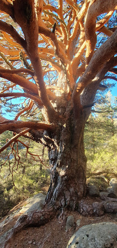 El Zanahorio  - Hiking area in Spain