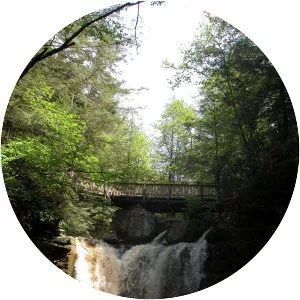 Elakala Falls - Waterfall in West Virginia