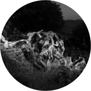 Eldad Rafaeli - Photographer