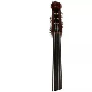 Electric upright bass - Musical instrument