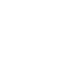 Electricity Authority