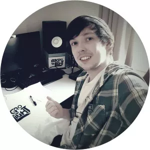 Electro-Light - Musician