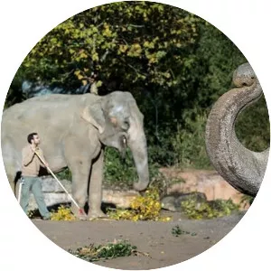 Elefant, Tiger & Co.