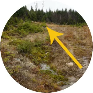 Elephant Mountain - Mountain in Maine