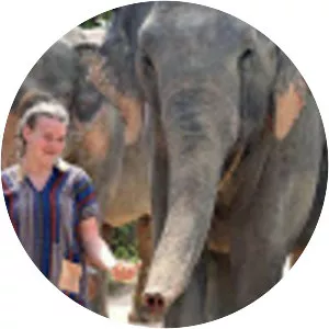 Elephant Sanctuary Thailand - 