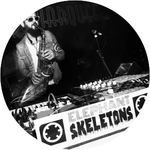 Elephant Skeletons - Musical artist