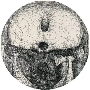 Elephant skull - Book by Henry Moore