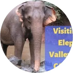 Elephant Valley Project