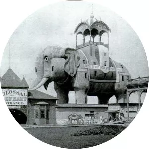 Elephantine Colossus