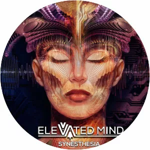 Elevated Mind - Musical artist