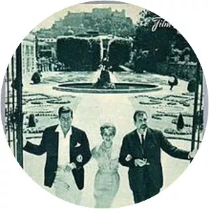 Eleven Years and One Day