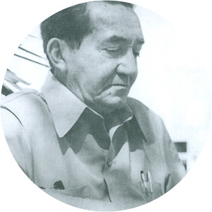 Eli Brasiliense - Novelist