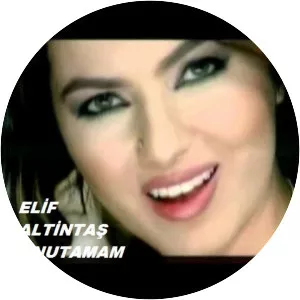 Elif Altıntaş - Musical artist