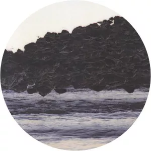 elio martusciello ossatura