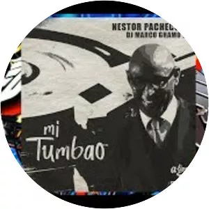 Elio Pacheco Musician