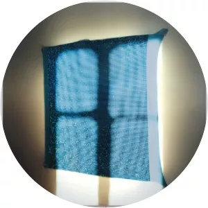 Elisa Sighicelli - Artist