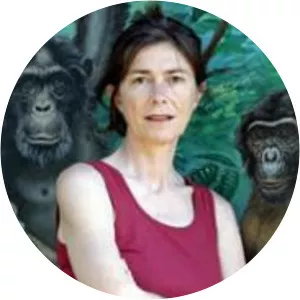 Elisabetta Visalberghi - Researcher