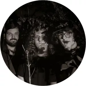 Elizabeth Colour Wheel - Musical group