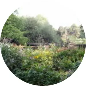 Elizabeth Lapthorne - Author