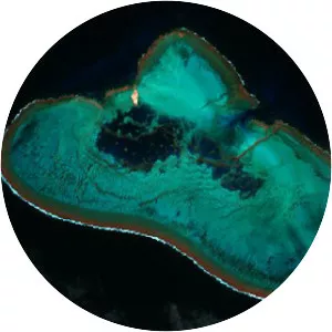 Elizabeth Reef - Island in the Tasman Sea