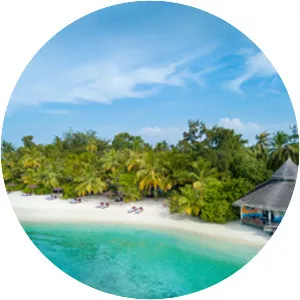 Ellaidhoo - Island in the Maldives