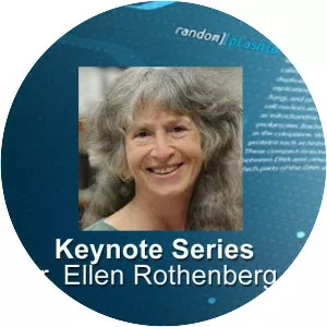 Ellen Rothenberg - Artist