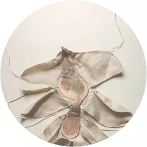 Ellen Sampson - Film director