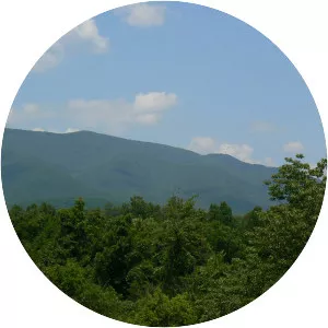 Elliott Knob - Mountain in Virginia