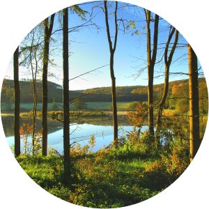 Elm-Lappwald Nature Park - 