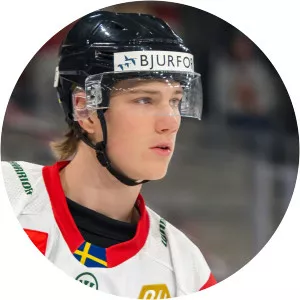 Elmer Söderblom - Ice hockey left wing