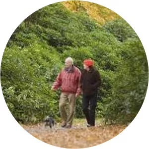 Els Hupkes - Visual artist