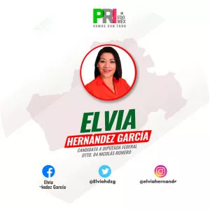 Elvia Hernández García - Former Member of the Mexican Chamber of Deputies